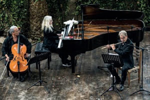 アキアカネ さえら ヒスクローネ レース テーブルクロス ピアノの