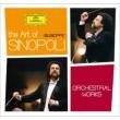 ジュゼッペ・シノーポリの芸術(１６ＣＤ限定盤)